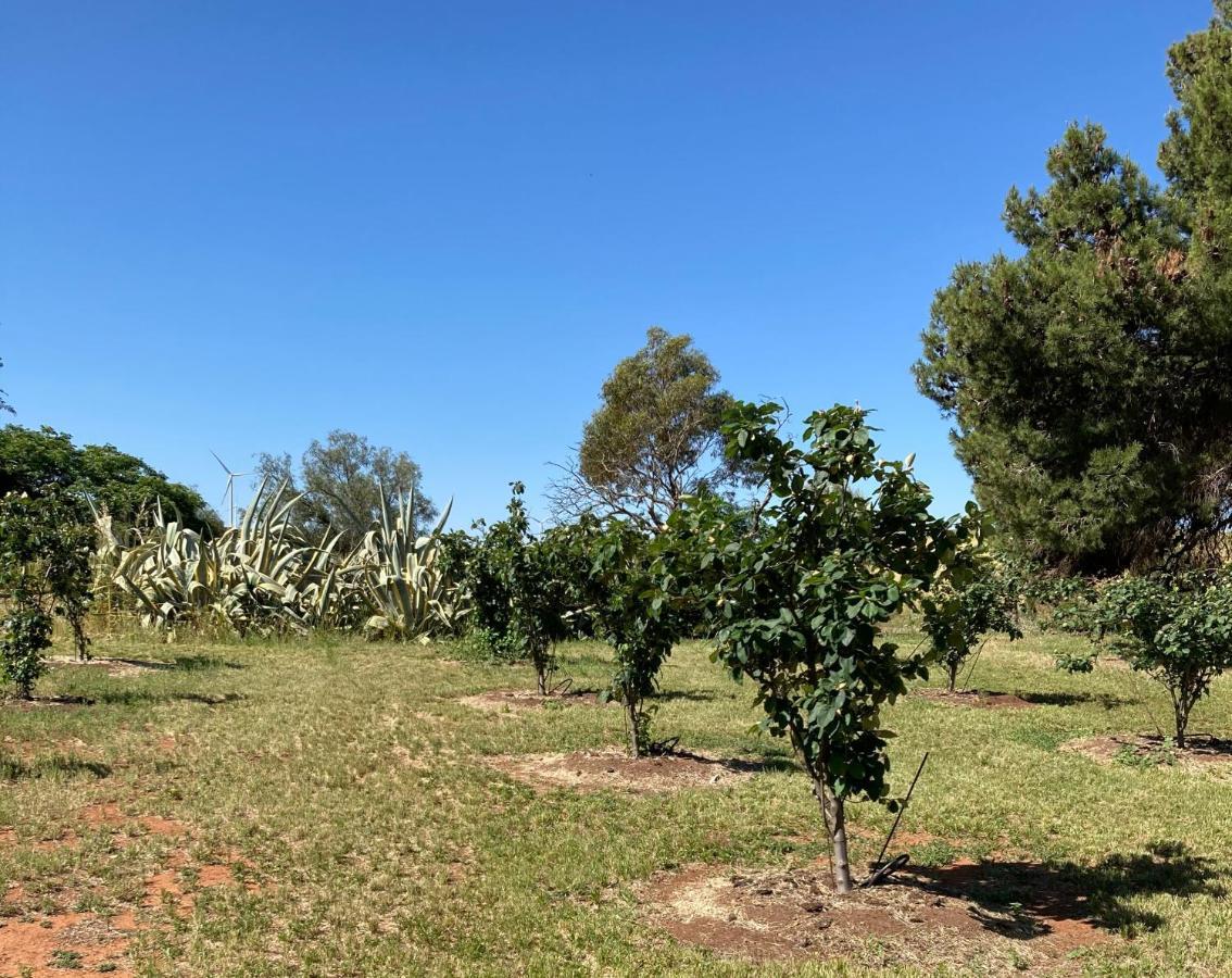 فيلا Belalie Wines Jamestown المظهر الخارجي الصورة