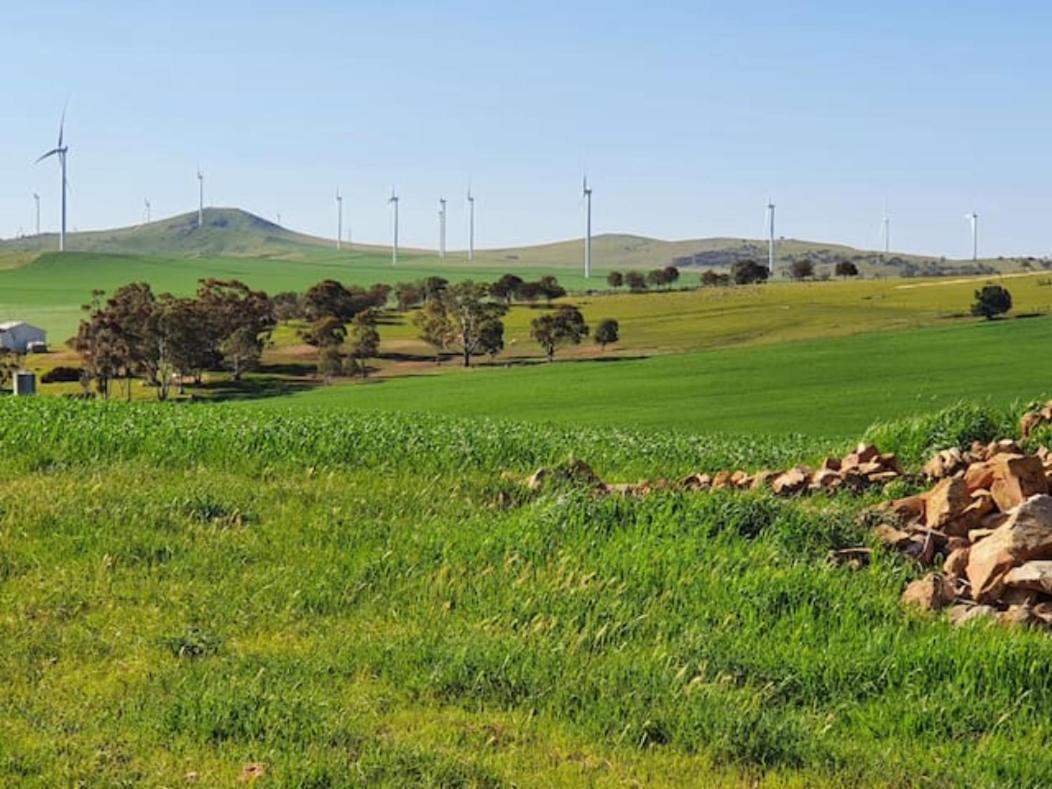 فيلا Belalie Wines Jamestown المظهر الخارجي الصورة